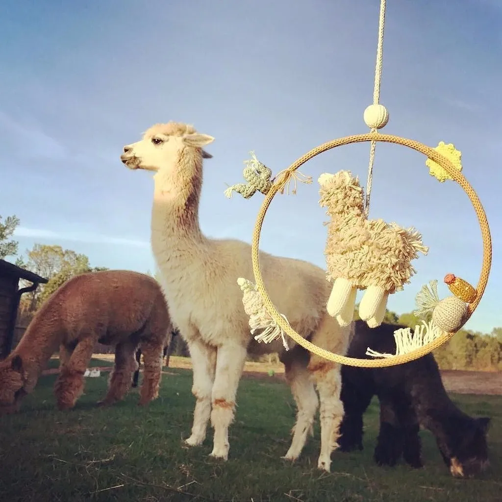 Alpaca Dream Ring Mobile by Blabla