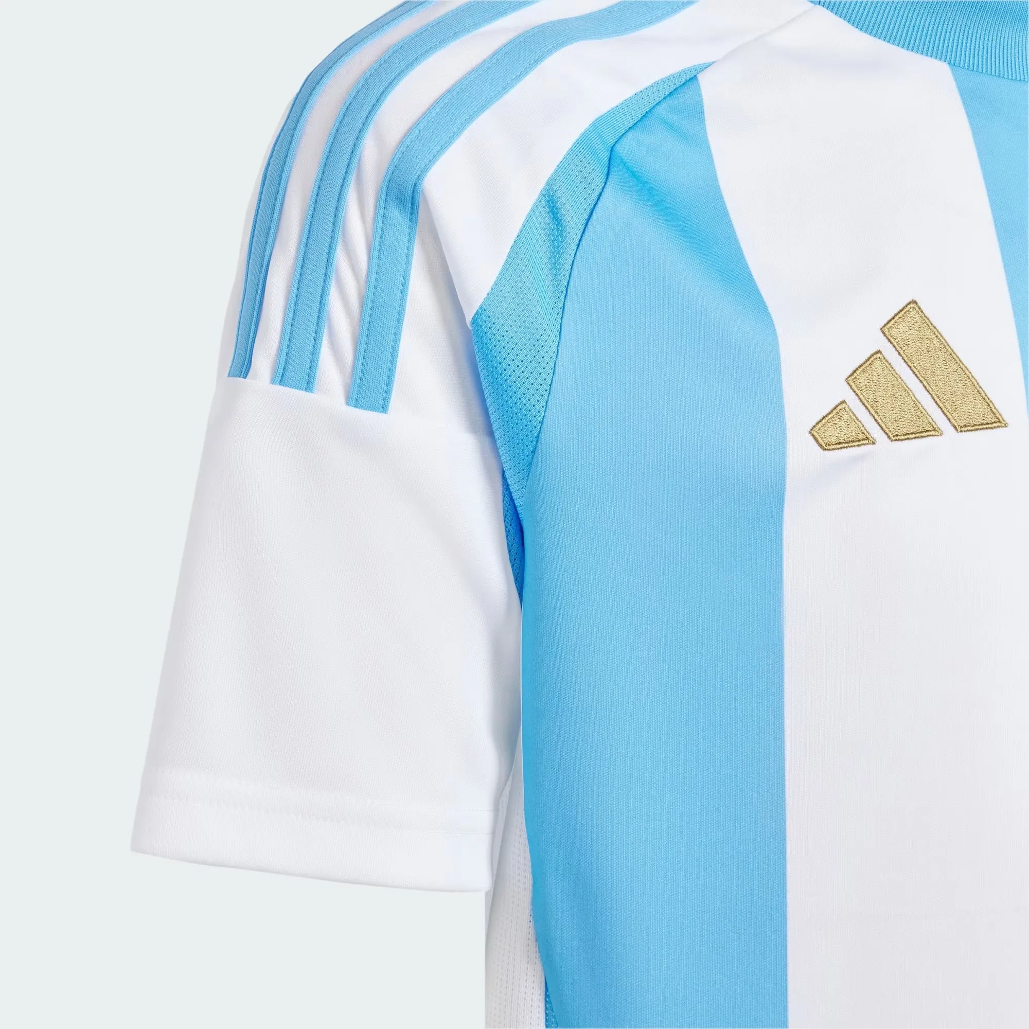 Youth Argentina 2024 Home Jersey